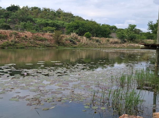 Bela Bela, Limpopo 480