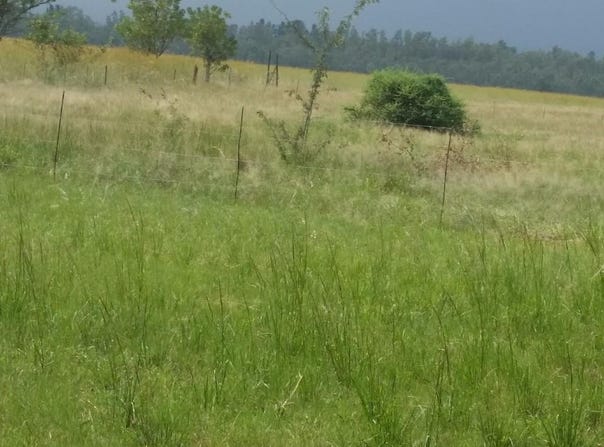 Modderfontein AH, North West 300