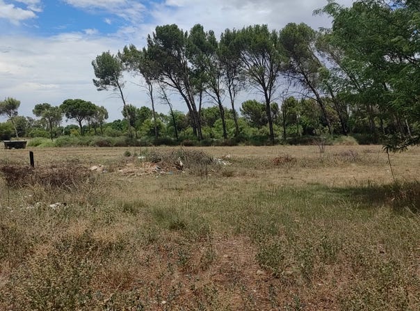 Estoire, Free State 9301