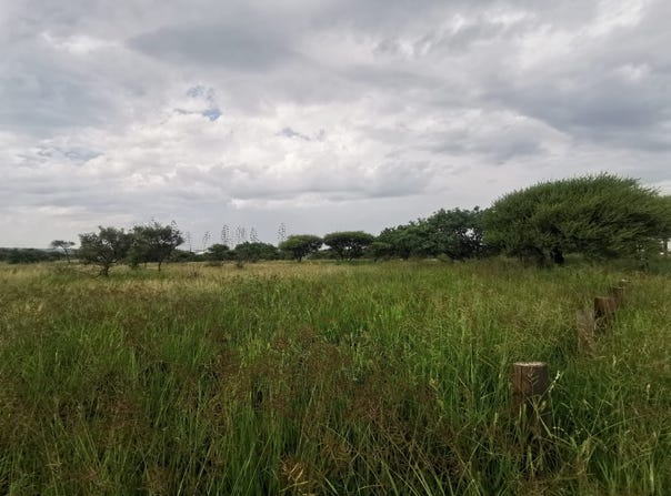 Bendor, Limpopo 699