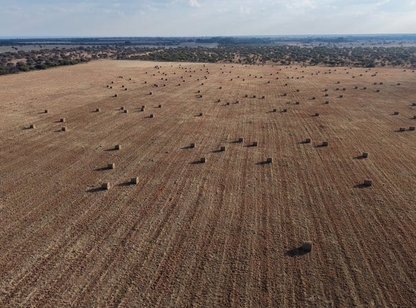 Bela Bela, Limpopo 480