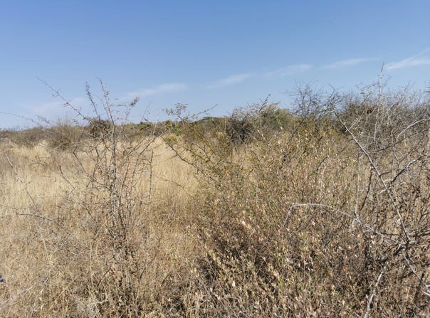 Bendor, Limpopo 699