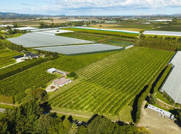Brown Road, Ormond, Gisborne