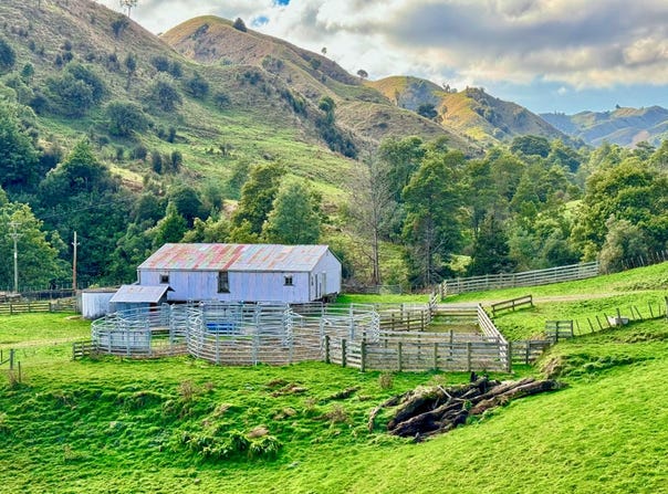 Manui Road, Mangaweka, Manawatu / Whanganui