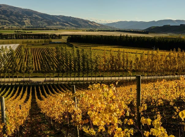 Loop Road, Cromwell, Otago