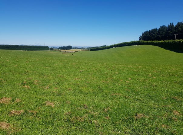 Hillend Road, Balclutha, Otago