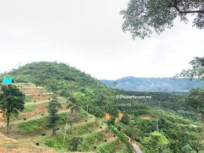 Bentong Pahang Land Development For Sale Realestate Com Au
