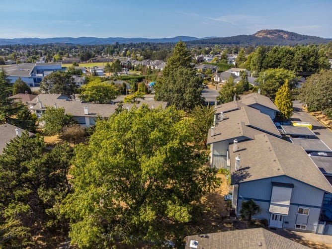 3987 Gordon Head Road, Saanich, British Columbia V8N 3X5 อพาร์ทเม้นท์