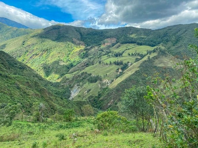 OffGrid Mountain Property 59 Hectares, Yamburara, Loja Land for Sale