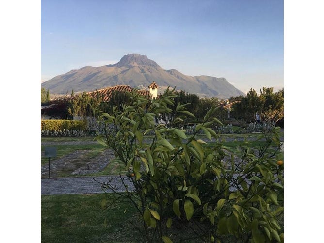 Affordable Luxury Mountain Living in this Enchanting Cotacachi Home