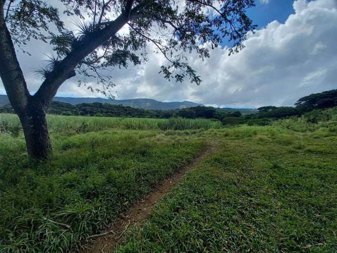 11 DANVERS PEN, BLUE MTN., Seaforth, Saint Thomas Parish Land for Sale