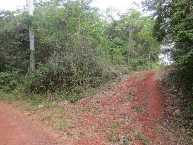 Woodlands CROSS KEYS, Cross Keys, Manchester Parish Land for Sale