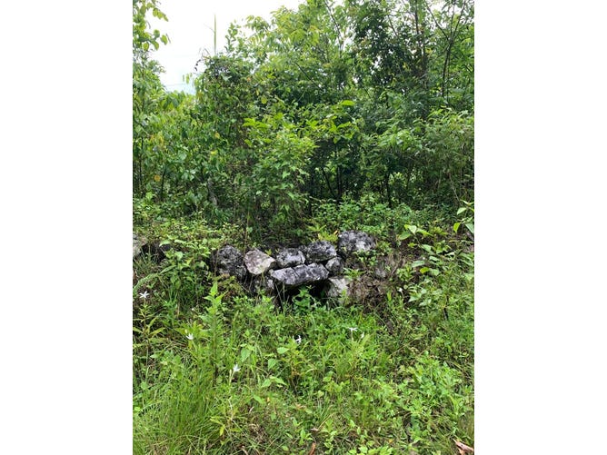 ADELPHI LIMA, Adelphi, St. James Parish ที่ดิน สำหรับขายท