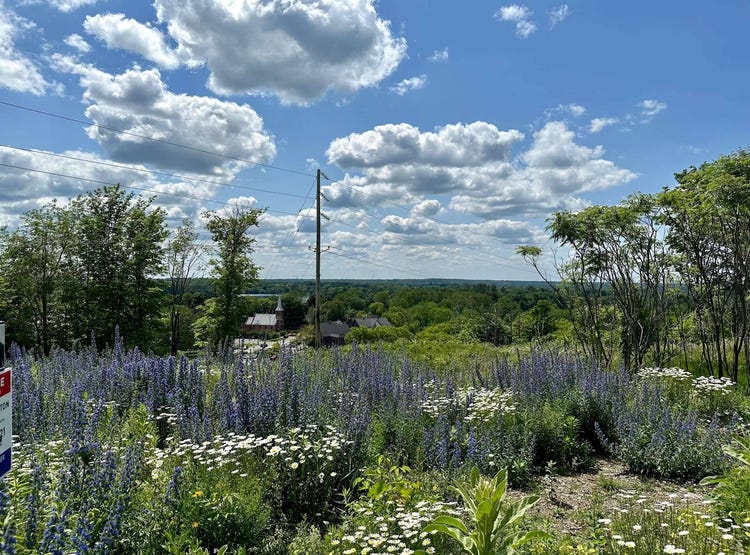 Rue de Sweetsburg, Cowansville, Québec J2K 2X5 Land for Sale