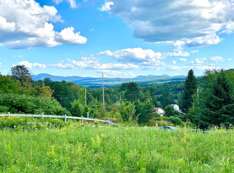 Rue de Sweetsburg, Cowansville, Québec J2K 3W1 Land for Sale