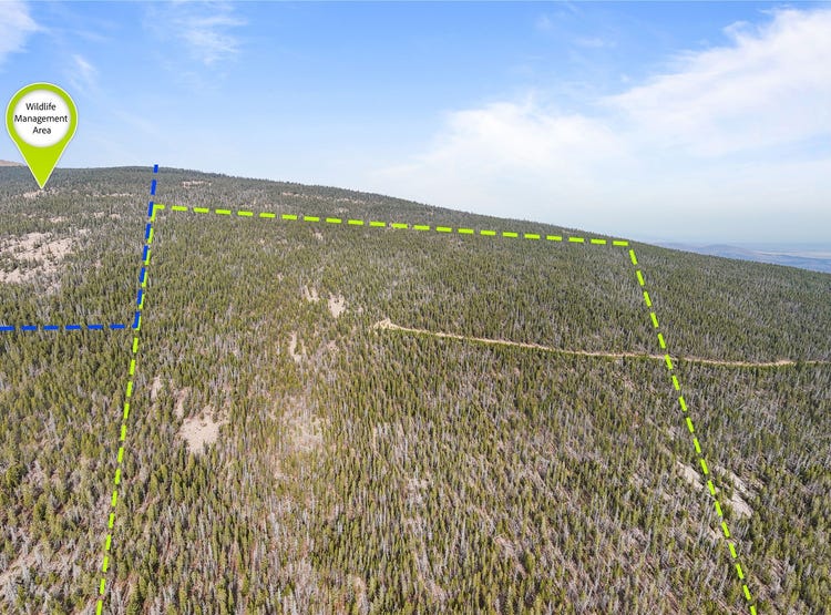 Tbd Rosa Trail, Anaconda, MT 59711 Land for Sale