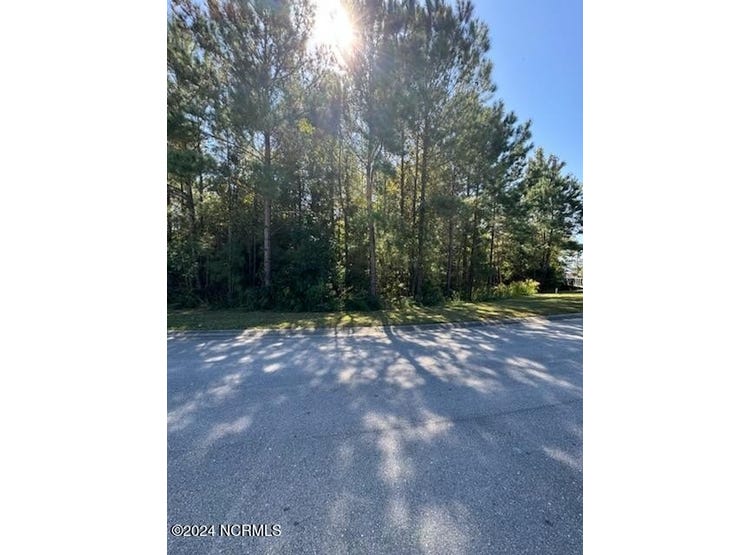 271 Twining Rose Lane, Holly Ridge, NC 28445 Land for Sale realestate