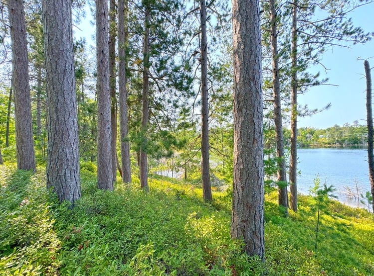 24120 W Rath ROW, Eckerman, MI 49728 Land for Sale