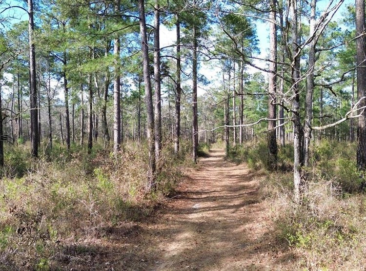 2815 Fredonia Road (89 Acres), Thomasville, GA 31757 House for Sale