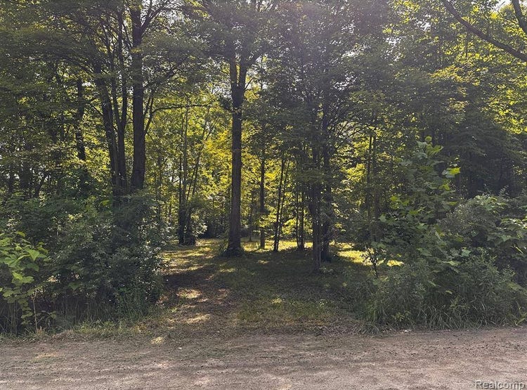 Vacant 00000 Haggerty Road, Sumpter Township, MI 48111 Land for Sale