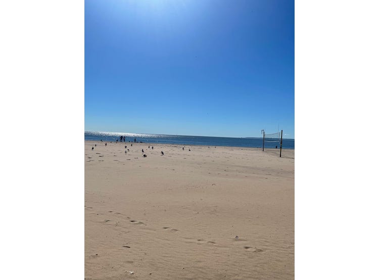 50 Brighton 1 Rd, Apt 16H, Brooklyn, NY 11235 Apartment for Sale