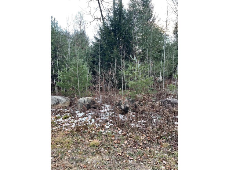 10 Codys Way, Bridgton, ME 04009 Land for Sale