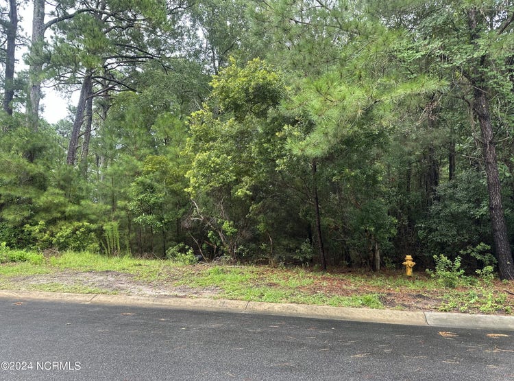 6073 Martinique Street SW, Shallotte, NC 28470 Land for Sale