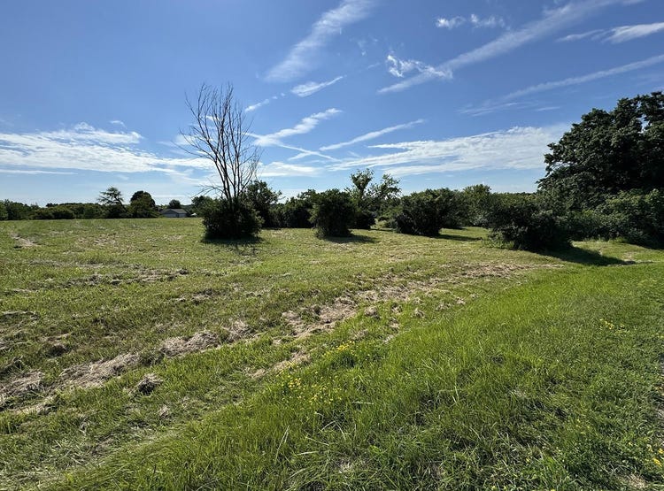 12221 Spring Creek, Apt 12223 Spring Creek Drive, LAKE CARROLL, IL