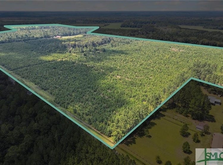 0 0 Mud Rd/ Arcola Road, Brooklet, GA 30415 Land for Sale realestate