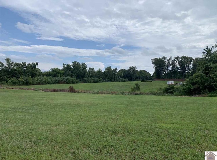 000 Old Symsonia Rd, Benton, KY 42025 Other for Sale