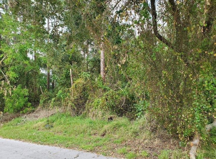 1001 SW CASTANEDA LANE, PORT SAINT LUCIE, FL 34953 Land for Sale