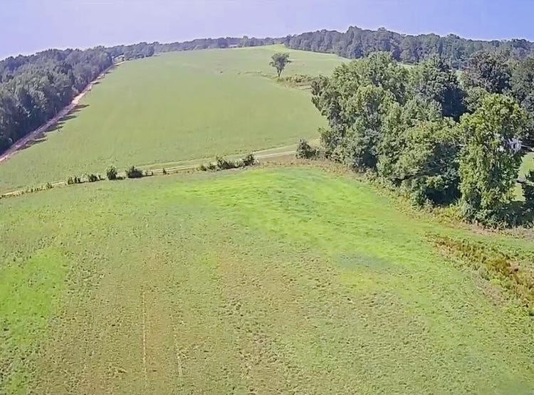 0 Woodland Drive, Ider, AL 35981 Land for Sale