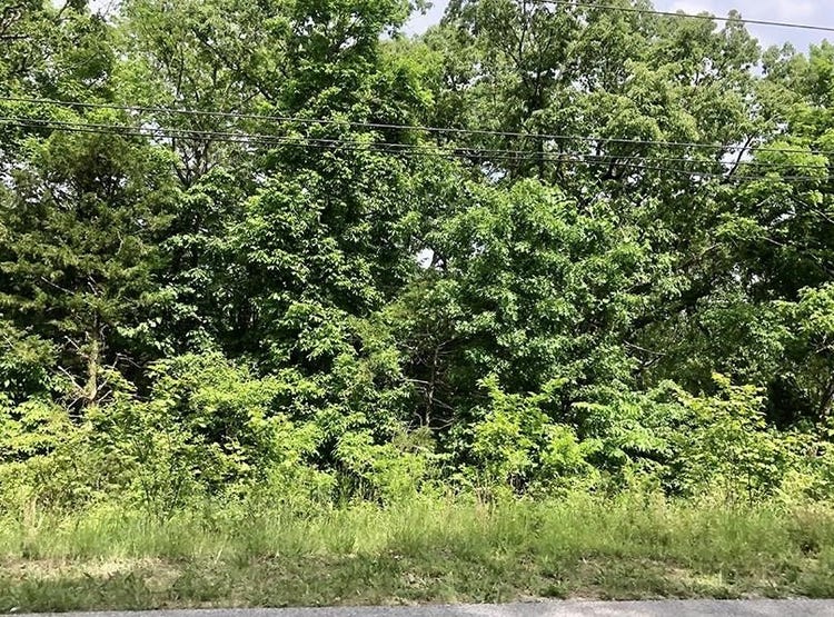 Tomahawk Drive, Cherokee Village, AR 72529 Land for Sale realestate