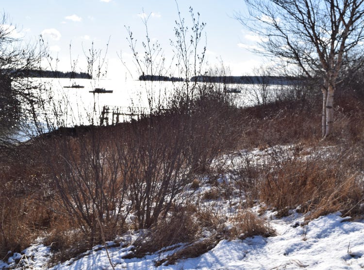 12 Stanhope Lane, Jonesport, ME 04649 Land for Sale