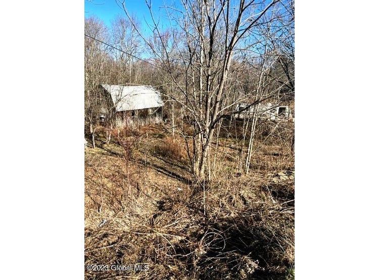 2101 State Route 10, Jefferson, NY 12093 Land for Sale