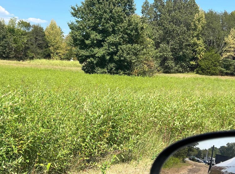 Lindell, Martin, TN 38237 Other for Sale