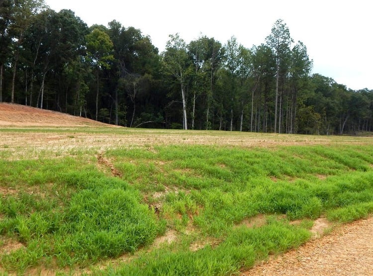 203 Hugh White State Park Road, Grenada, MS 38901 Land for Sale