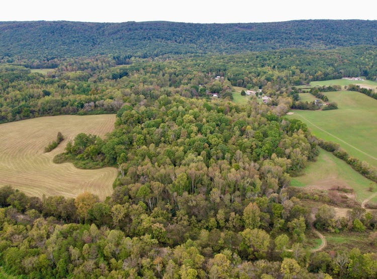 0 Perry Lane, Spring City, TN 37381 Land for Sale realestate