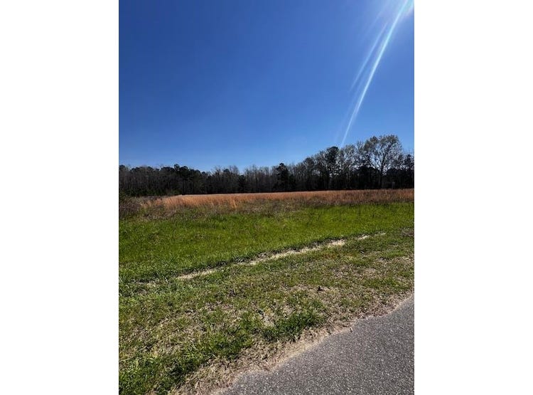 0 Pompey Town Rd., Greeleyville, SC 29056 Land for Sale
