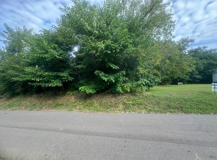 0 Main St, Henry, TN 38231 Land for Sale