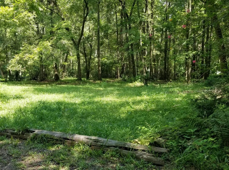 0000 MONCRIEFDINSMORE Road, Jacksonville, FL 32219 Land for Sale