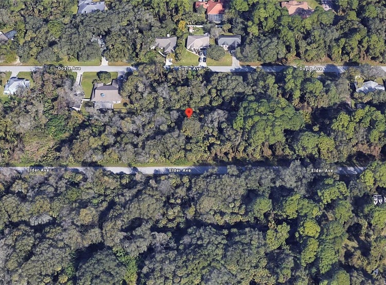 17080 ELDER AVENUE, PORT CHARLOTTE, FL 33954 Land for Sale realestate