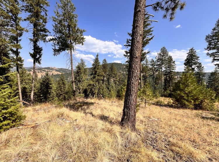 TBD LITTLE GOOSMUS CREEK RD, CURLEW, WA 99118 Land for Sale