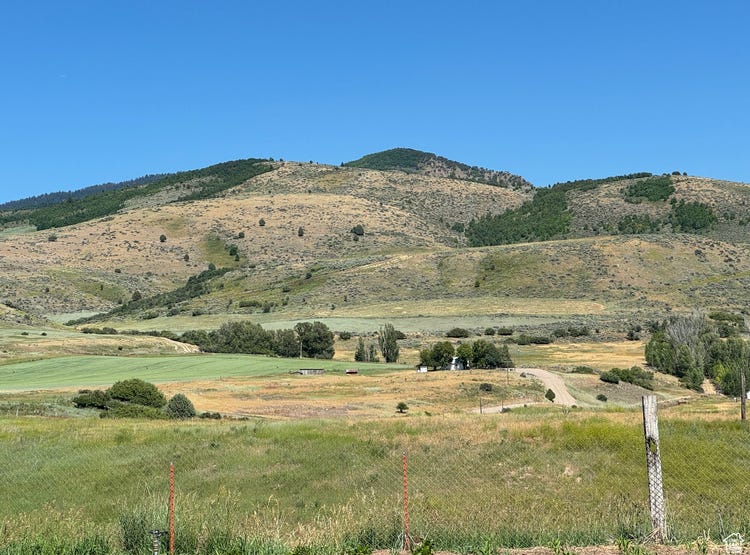 1 E WILLIAM N, Thatcher, ID 83283 Land for Sale