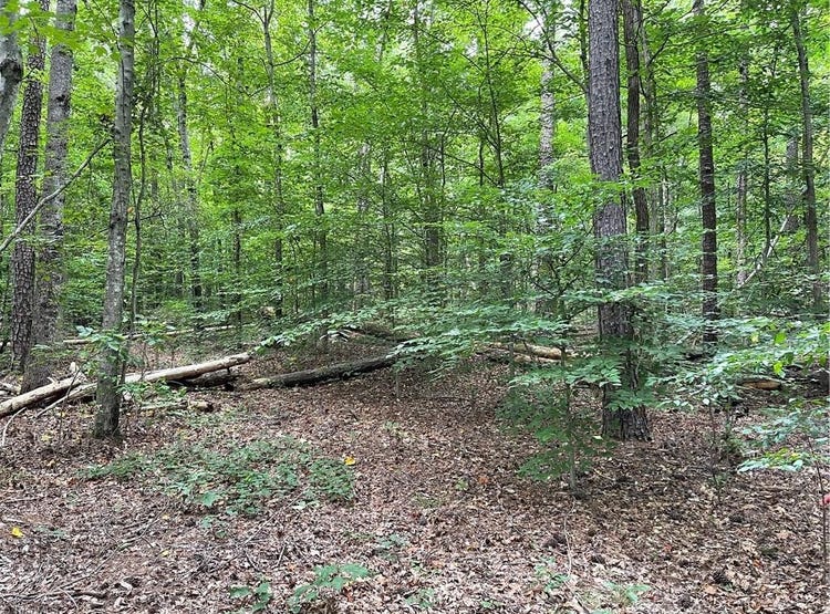 806 Frank Hulin Road, Lexington, NC 27295 Land for Sale