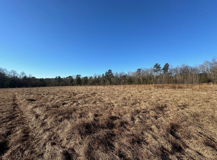0 MILLHAVEN Road, Girard, GA 30426 Land for Sale