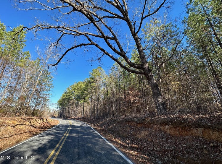 3 Henry Cannon Rd, Braxton, MS 39044 Land for Sale