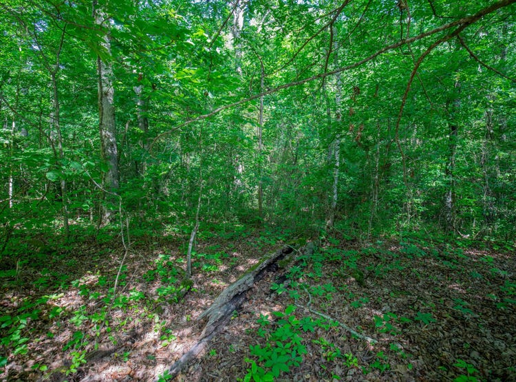 11138 Dolly Pond Road, Birchwood, TN 37308 Land for Sale realestate