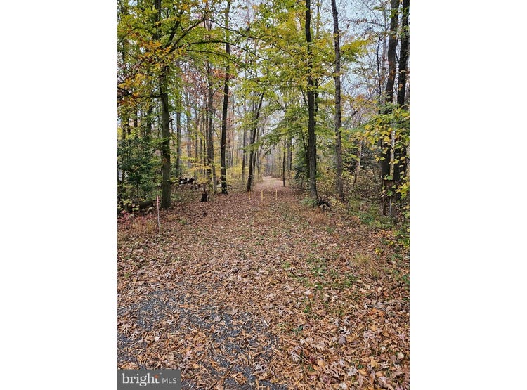 1031 PETERS CORNER RD, SUDLERSVILLE, MD 21668 Rural for Sale