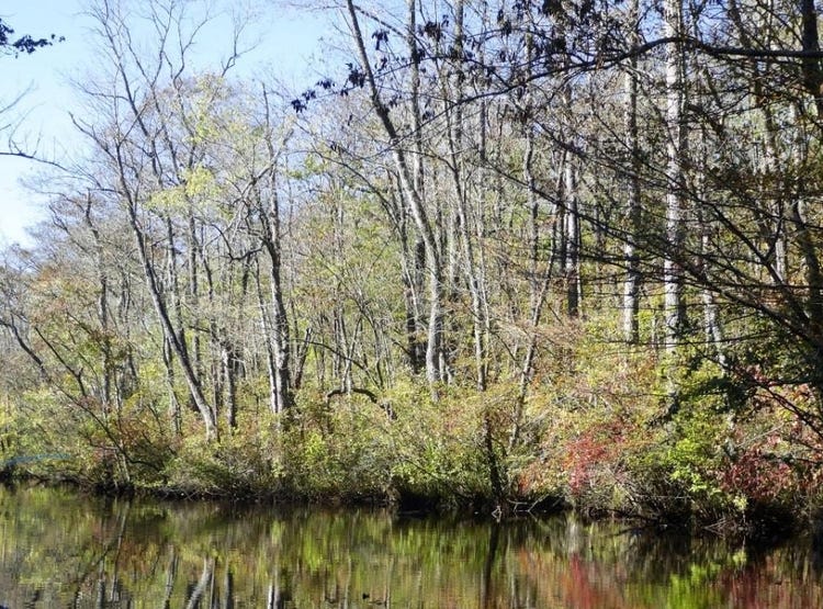 0 MEADOW BRIDGE ROAD, SNOW HILL, MD 21863 Land for Sale